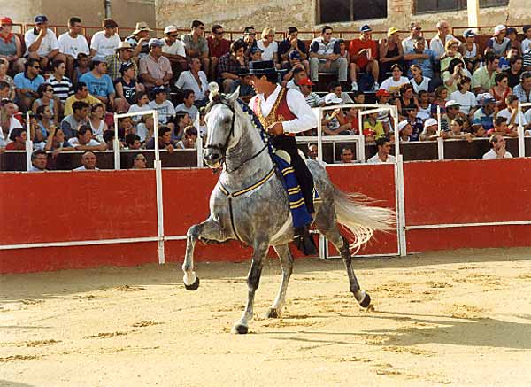 Feria taurina