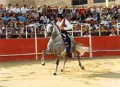 Feria taurina