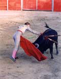 Feria taurina