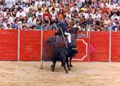 Feria taurina