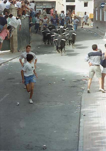 Corredores y novillos en la calle Federico Servet
