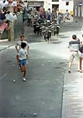 Corredores y novillos en la calle Federico Servet