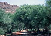 Parque de las Cuevas