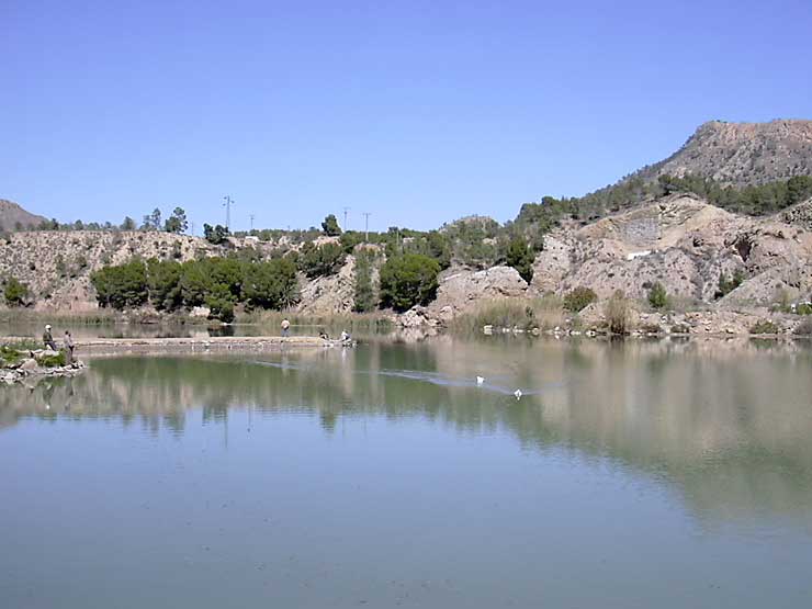 Aficionados practicando la pesca