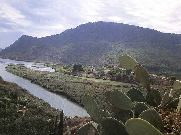 Vista desde el Alto de Bayna