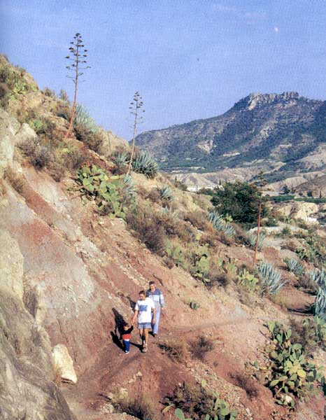 El P.R. 1 Hoya de S. Roque comienza en la ladera del Solán. Al fondo, la Navela