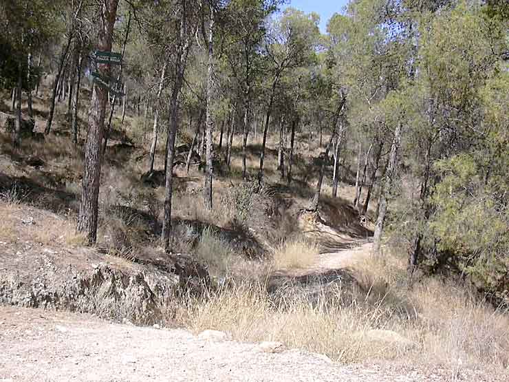 Cruce de los caminos que llevan a ambos miradores